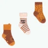 Baby Lion - Pack De Chaussettes Bébé